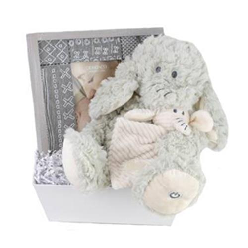 Lullaby Baby Basket